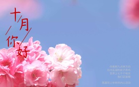 爱情十月你好红色爱心树配图横版海报