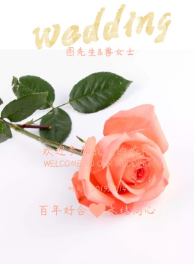 我们结婚啦主题海报设计