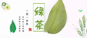 古风文雅绿茶banner