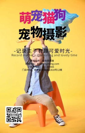 可爱涂鸦猫咪宠物摄影卡通促销手机营销海报