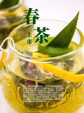 春茶茶文化海报