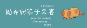 关注流浪动物公益微博封面