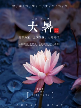 荷花大暑清新简约文艺中国传统节气海报