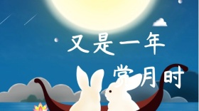 中秋创意简约宣传公众号封面模板