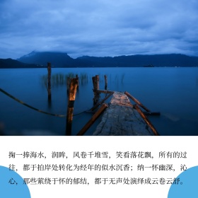 一捧海水文艺小清新公众号正方形配图