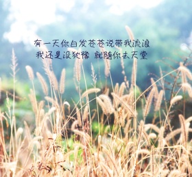 风景摄影封面图