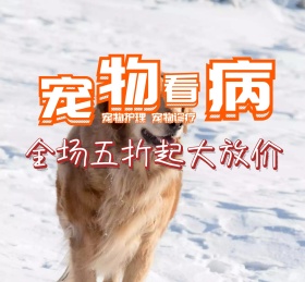 萌宠宠物可爱动物朋友圈封面
