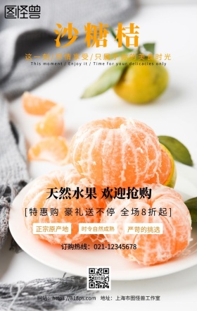 沙糖桔广告手机海报设计