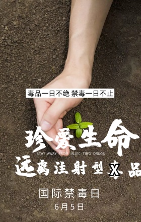国际禁毒日珍爱生命黑色简约手机海报