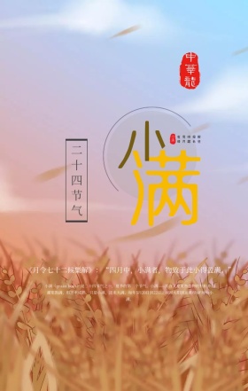 中国风水墨小满24节气节日手机海报