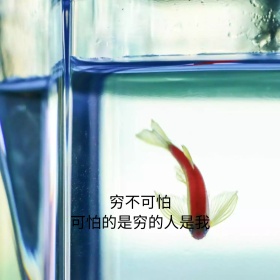 穷表情包