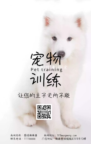 蓝色可爱卡通科技宠物训练促销手机营销海报