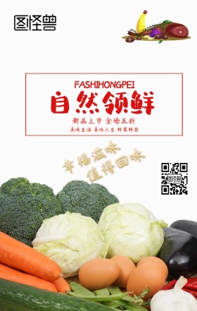 蔬菜 有机