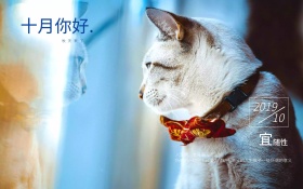 猫咪十月你好日历海报唯美图片红包配图