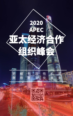 2018APEC亚太经济合作峰会海报