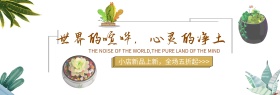 灰色简约多肉绿植盆栽神奇的桌面宠物电商banner淘宝海报