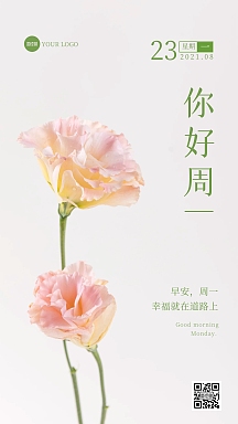 文艺风鲜花周一你好生活语录日签