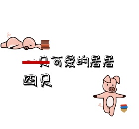 猪猪可爱卡通简单白色黑色纯色背景