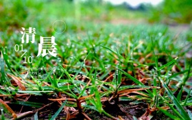绿色的草清晨唯美红包配图海报设计
