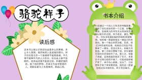 简约卡通可爱创意骆驼祥子读书小报