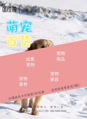 宠物店＋小狗灰色＋简约＋促销＋店铺