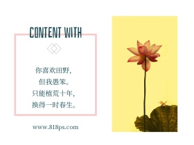 简约小清新晴天唯美公众号配图