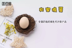 农家鸡蛋宣传海报