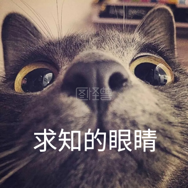 啊我的眼睛熊猫尔康表情包
