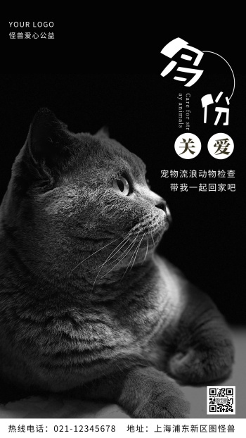 多份关爱流浪动物棕色公益摄影图海报
