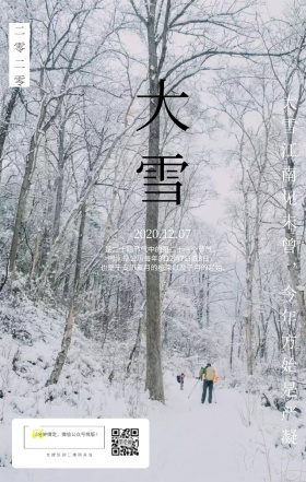 节气 大雪 蓝色 唯美 雪花