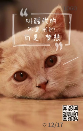 萌猫咪起床早安日签