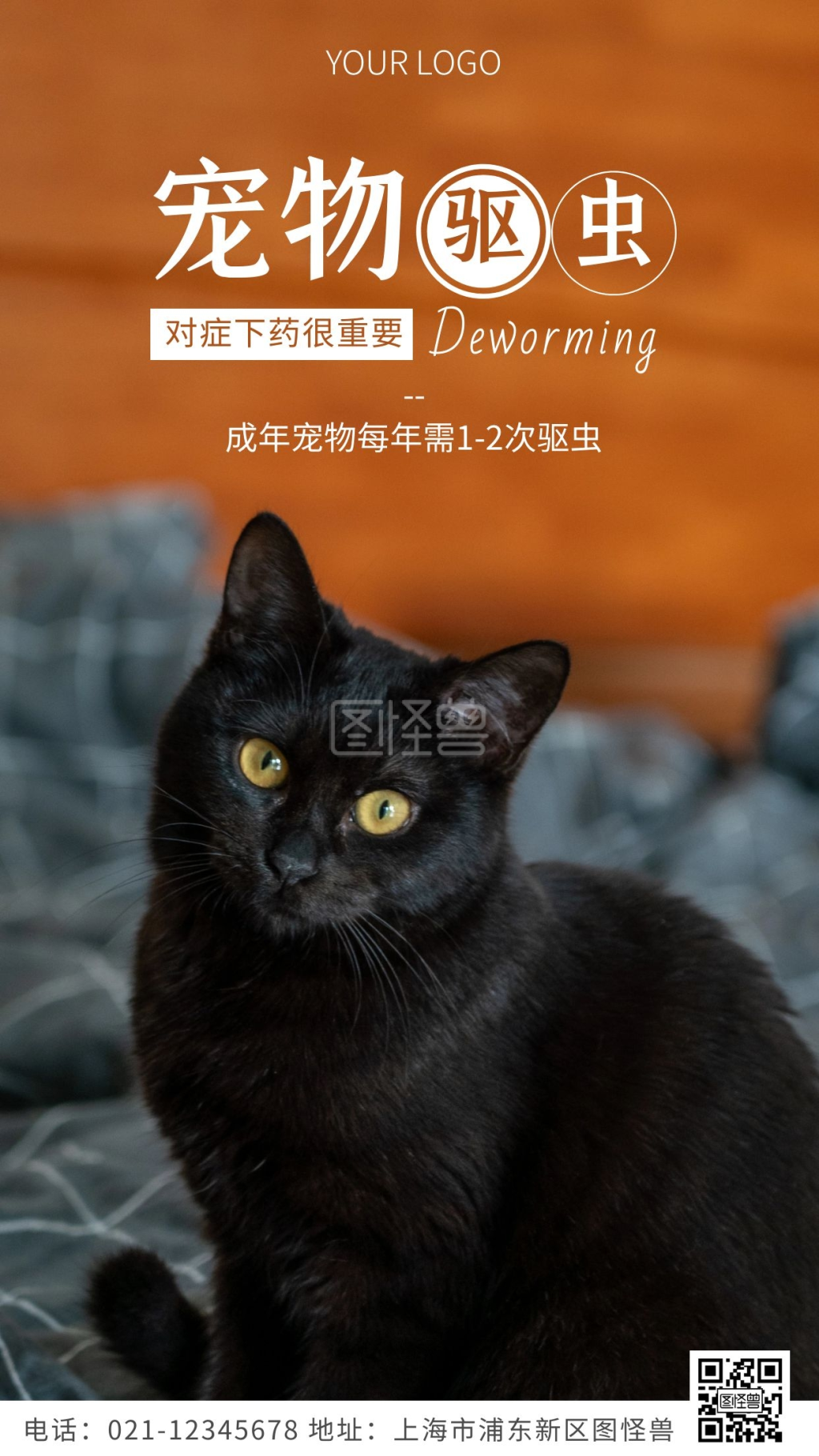 宠物猫狗驱虫黄色简约风摄影图海报