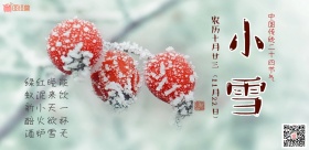 中国传统小雪节气海报