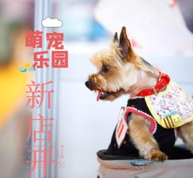 萌宠乐园新店开业