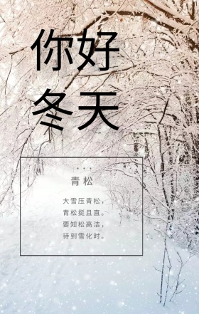 雪景+白色+简约+日签