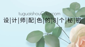 设计师配色方案公众号封面