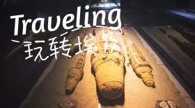 玩转埃及公众号封面