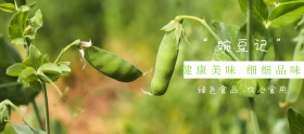 豌豆品质狂欢节绿色简约淘宝banner