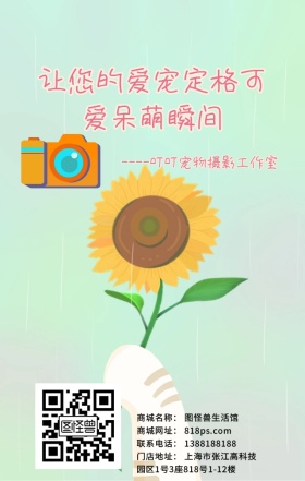 给爱宠定格可爱瞬间广告宣传
