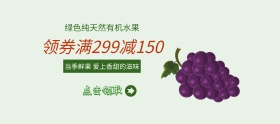 绿色纯天然有机水果banner