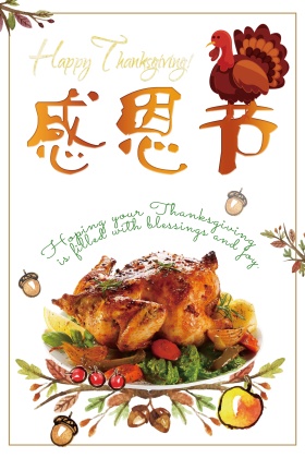 2017年火鸡感恩节美食海报