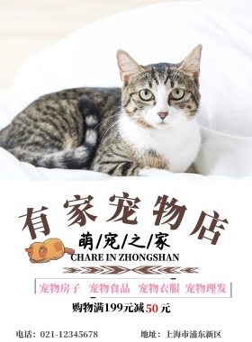 宠物海报