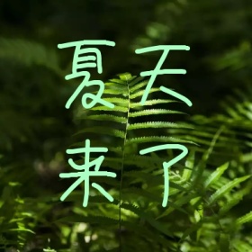 夏天来了樱桃清新文艺公众号小图