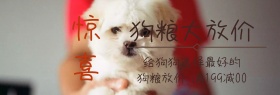 狗粮放价淘宝banner