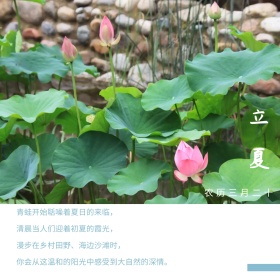 蓝色摄影立夏节气宣传公众号配图