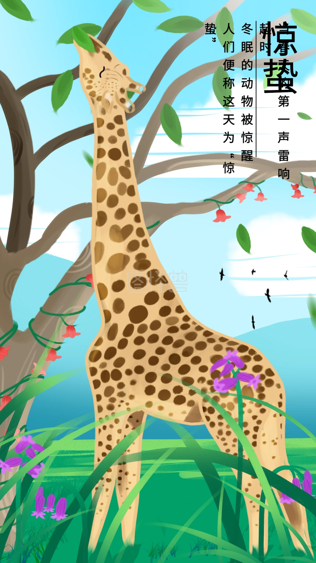 原创节日惊蛰吃树叶的长颈鹿