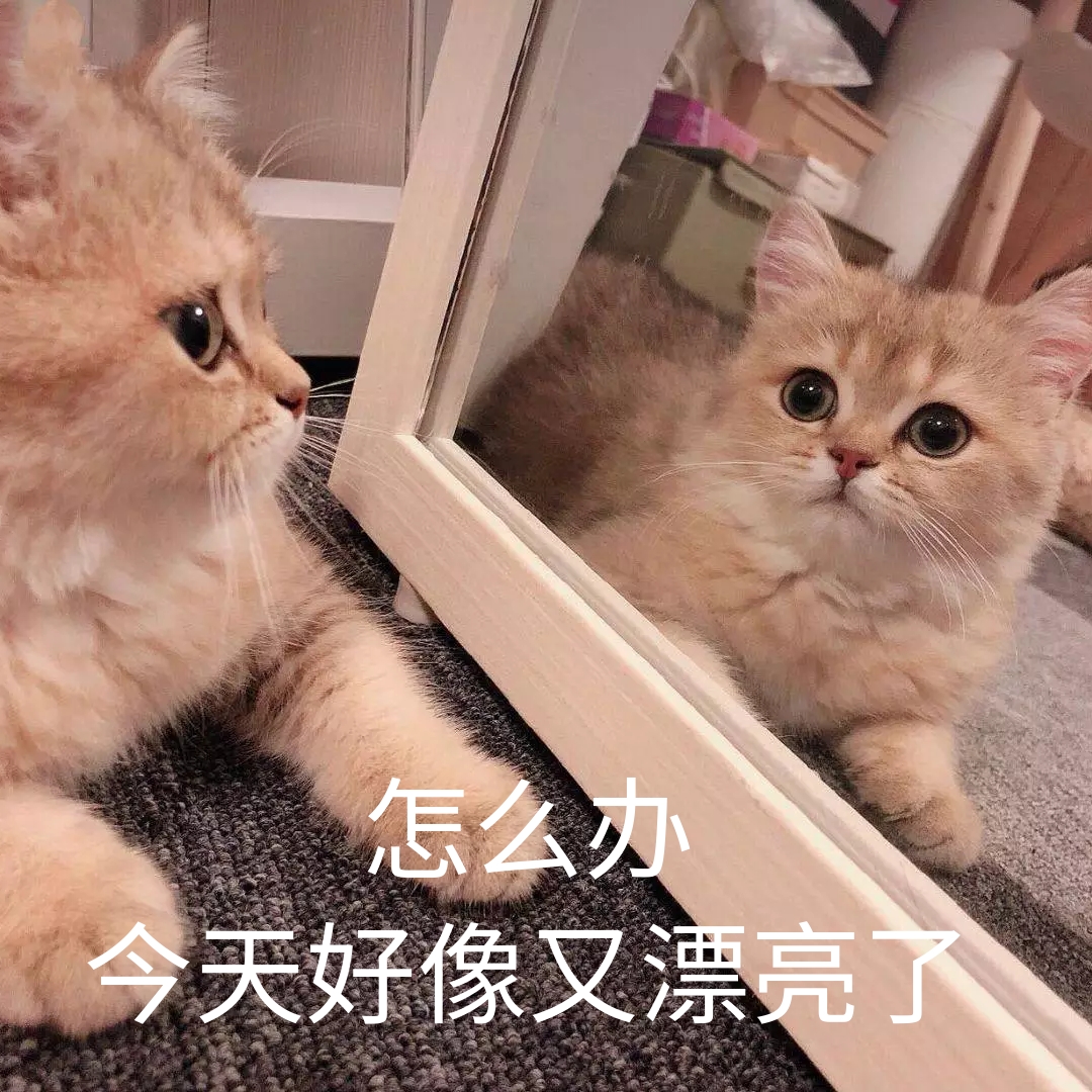 漂漂