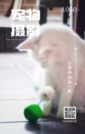 宠物摄影写真日签