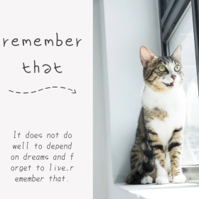 复古简约可爱小猫咪灰色公众号配图