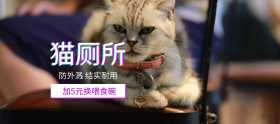 猫厕所宠物用品狂欢节banner图片